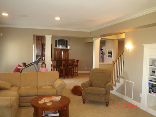Basement Family Room
